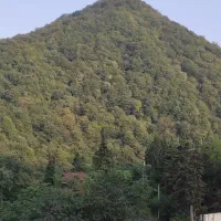 زمین مسکونی ۱۷۰۰متر سیاسان رامسر|مشارکت در ساخت املاک|رامسر, |دیوار