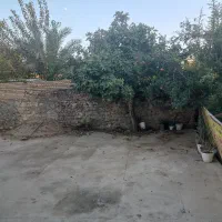 اجاره ی کوتاه مدت سوییت|اجارهٔ کوتاه‌مدت آپارتمان و سوئیت|گالیکش, |دیوار