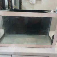 آکواریوم با همه  وسایل