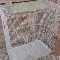 دوتا قفس