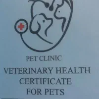 سگ شیتزو|سگ|یزد, |دیوار