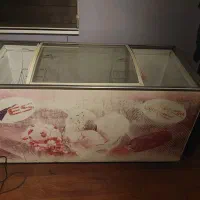 یخچال بستنی|کافی‌شاپ و رستوران|رشت, کاکتوس|دیوار