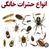 سمپاشی با ضمانت کتبی دریک مرحله سم پاشی ساس ،سوسک|خدمات نظافت|تهران, افسریه شمالی|دیوار