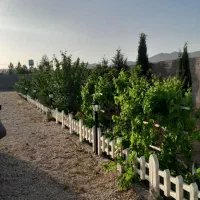 فروش باغ ۱۰۰۰متری