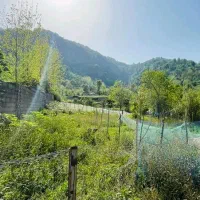 ۲۲۰مترمسکونی/ویو ابدی