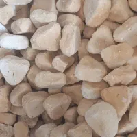 کشک گاوی