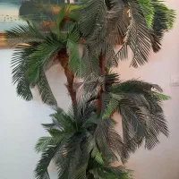 در ختچه مصنوعی سیکاس