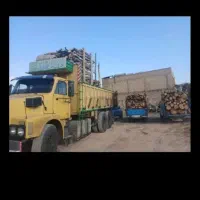 خریدار چوب گز اکولاپیتوس کهور