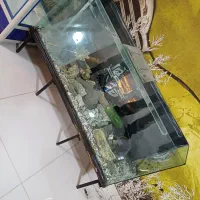 آکواریوم بزرگ