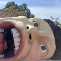استخدام راهبر موزه