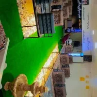 شاگرد قهوه خانه