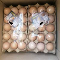 تخم مرغ رسمی