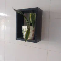 شلف