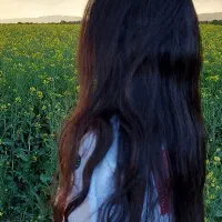 موی|فعالیت داوطلبانه|بوئین زهرا, |دیوار