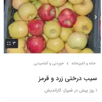 فروش سیب درختی