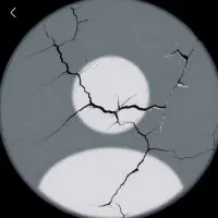 فروش فوری گل پتوس