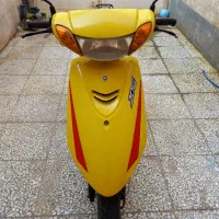 پاکشتی جوگ زرد قناری
