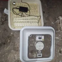 دستگاه جوجه کشی فول اتومات|ماشین‌آلات صنعتی|بم, |دیوار