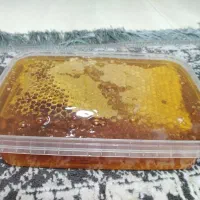 عسل|خوردنی و آشامیدنی|نوشهر, |دیوار