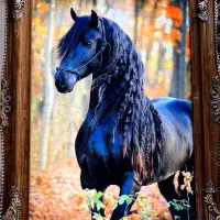 حراجی تابلوفرش|تابلو فرش|میاندوآب, |دیوار