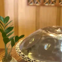 هنگدرام آرشا