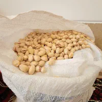 پسته فندوقی درجه ۱ مخلوط دهن باز وبسته