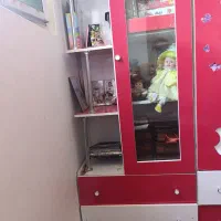 وسایل  فروشی|گل و گیاه طبیعی|مرودشت, فاز اول شهرک فرهنگیان|دیوار