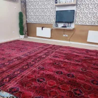 فرش فروشی|فرش|ایلام, |دیوار