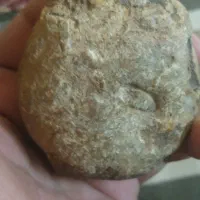 سنگهای قیمتی وشهابسنگ|کلکسیون اشیاء عتیقه|دامغان, |دیوار