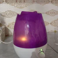 وسایل برقی|سایر لوازم برقی|برازجان, |دیوار