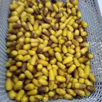 رطب نغار