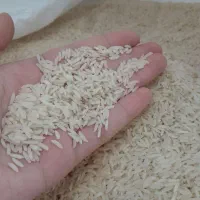 برنج هاشمی|خوردنی و آشامیدنی|اصفهان, شاهد|دیوار