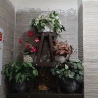 تعدادی گل و استند گل و درختچه|گل مصنوعی|اسلامشهر, شهرک قائمیه|دیوار