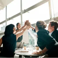 ( ۱۷ نفر ظرفیت) ۳۰+ درآمد