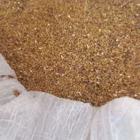 بذر یونجه کوششی