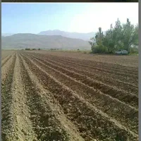 زمین کشاورزی