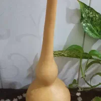 کدو قلیانی