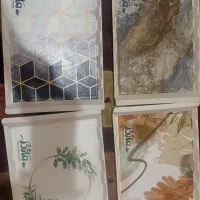 سینی پلاستیکی