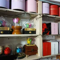 ولنتاینی|گل و گیاه طبیعی|رشت, حمیدیان|دیوار