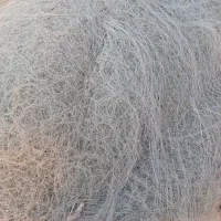 ۹عدد طور حلوا سیاه