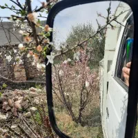 نیسان ZF دوگانهسوز ۱۳۸۵ آماده کار