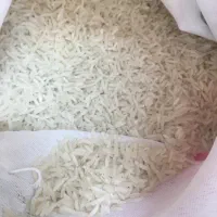 فروش بی واسطه برنج ایرانی|خوردنی و آشامیدنی|تهران, بروجردی|دیوار