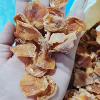 قیسی کیلو 250|عمده‌فروشی|پاتاوه, |دیوار