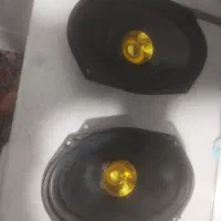 باند پایونر