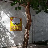 ویلایی مناسب ساخت و ساز|فروش خانه و ویلا|مشهد, نکاح|دیوار