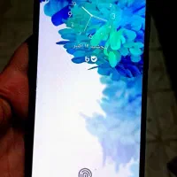 s20 fe|موبایل|مشهد, تلگرد|دیوار