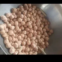 نخود