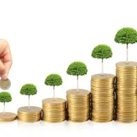 توسعه کسب و کار به صورت تضمینی