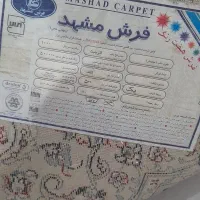 دوتخته فرش نه متری|فرش|رشت, تازه آباد|دیوار