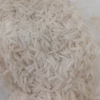 برنج درجه یک شیرودی طارم فجر|عمده‌فروشی|بابلسر, |دیوار